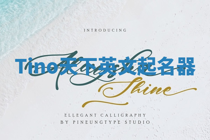 Tino天下英文起名器 Tino天下英文起名器