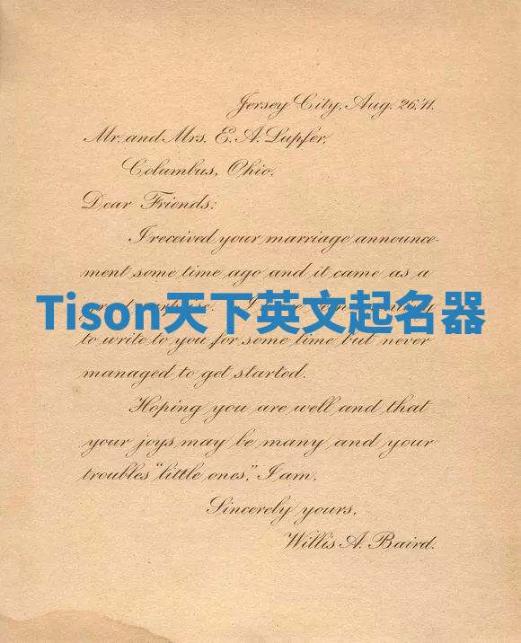 Tison天下英文起名器 Tison天下英文起名器