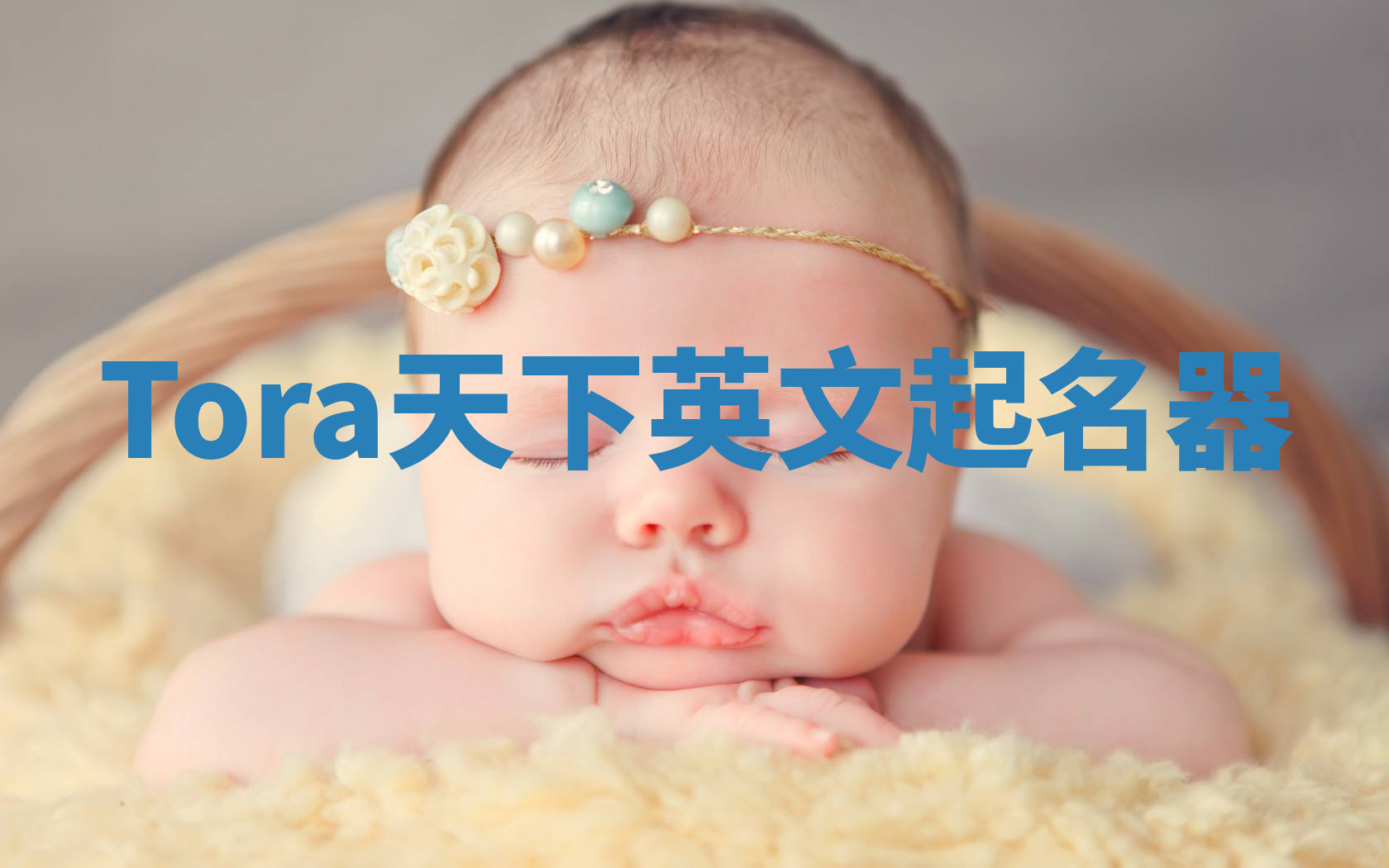 Tora天下英文起名器 Tora天下英文起名器