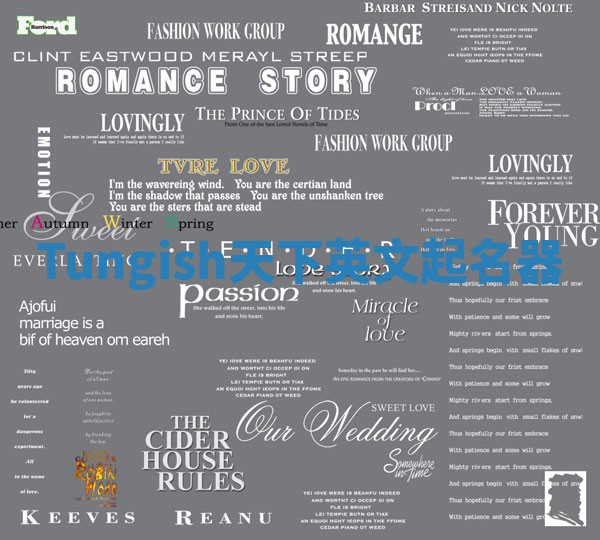 Tungish天下英文起名器 Tungish天下英文起名器