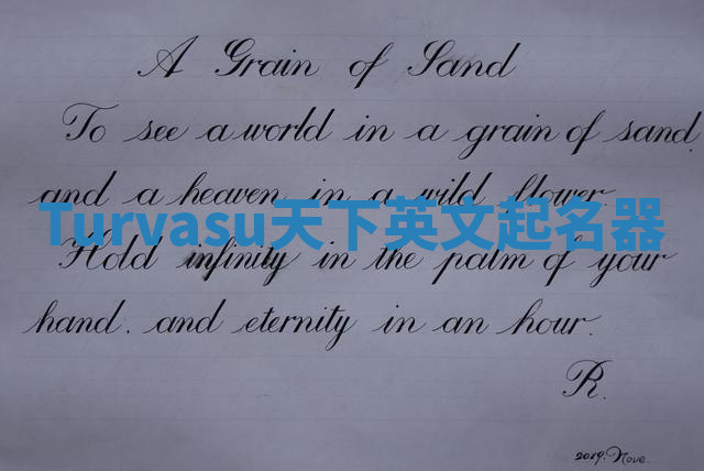 Turvasu天下英文起名器 Turvasu天下英文起名器