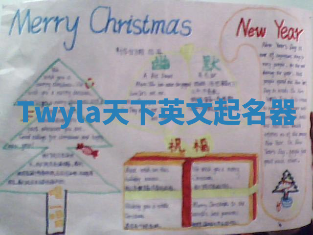 Twyla天下英文起名器 Twyla天下英文起名器