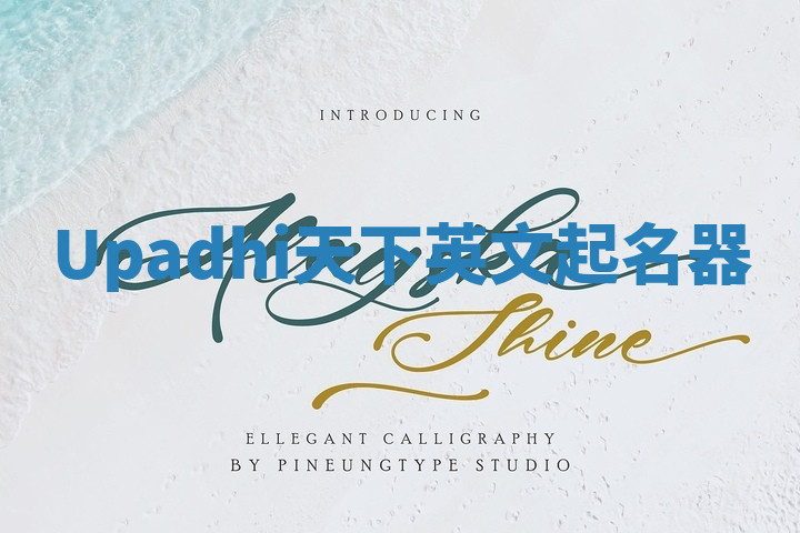 Upadhi天下英文起名器