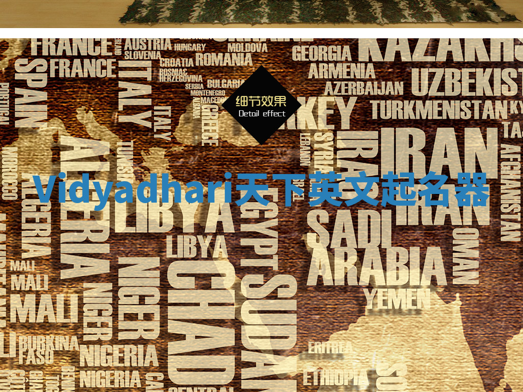 Vidyadhari天下英文起名器 Vidyadhari天下英文起名器