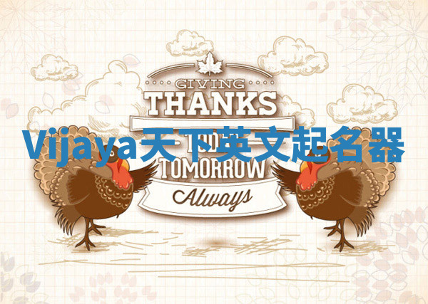 Vijaya天下英文起名器 Vijaya天下英文起名器