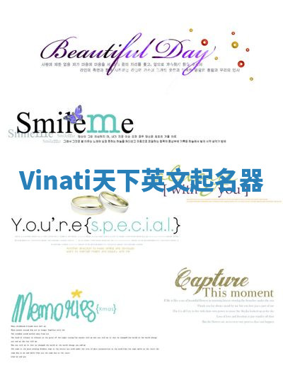 Vinati天下英文起名器 Vinati天下英文起名器