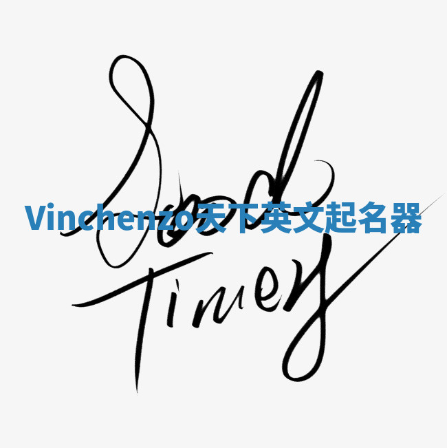 Vinchenzo天下英文起名器 Vinchenzo天下英文起名器