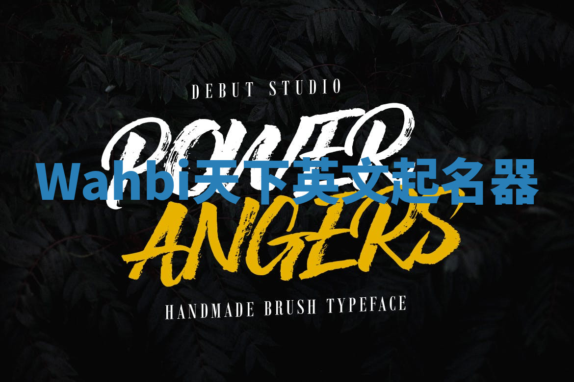 Wahbi天下英文起名器