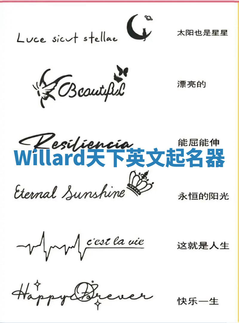 Willard天下英文起名器