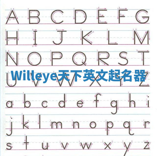 Willeye天下英文起名器 Willeye天下英文起名器