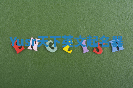 Yusr天下英文起名器